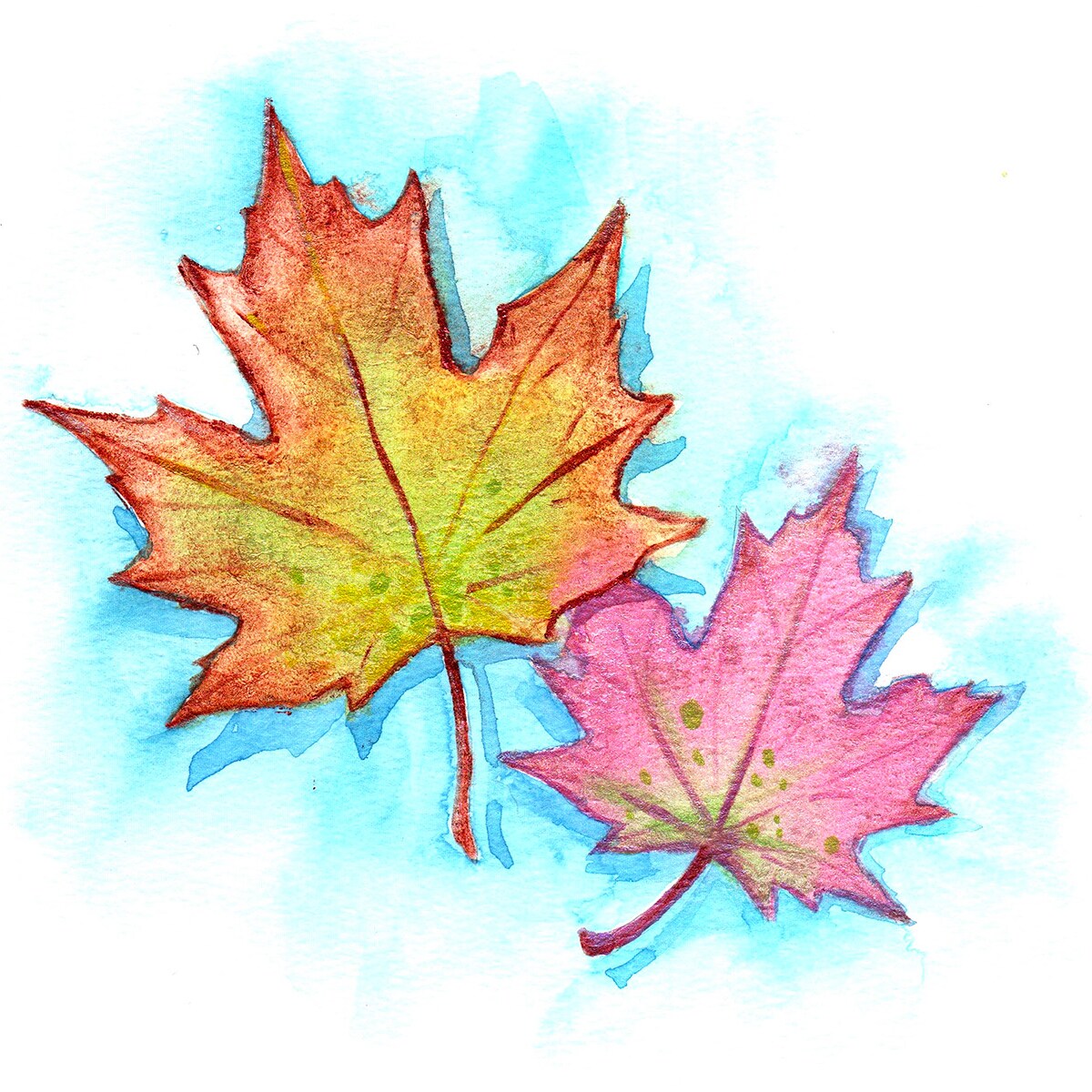 Arteza Autumn Leaves Watercolor Classes Michaels arteza-autumn-leaves-watercolor-classes-michaels